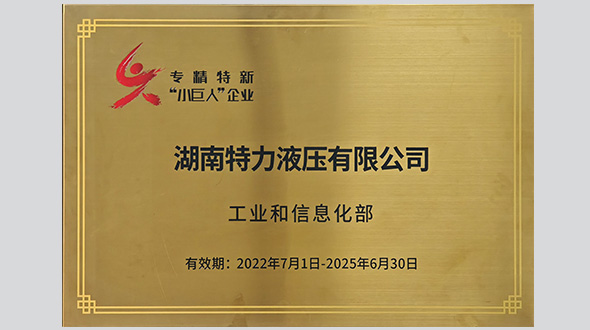 國家級專精特新“小巨人”企業(yè)