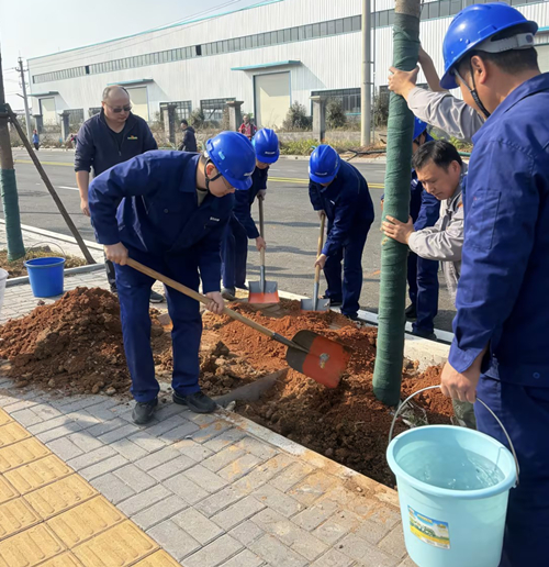 植一抹新綠，種一份希望